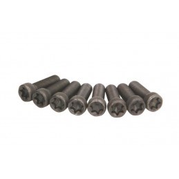 KIT DE TORNILLOS 411022810