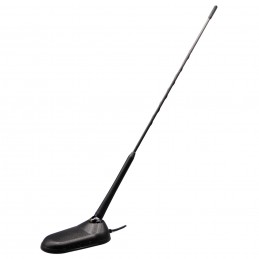 ANTENA PRESIDENT NEW VIRGINIA
