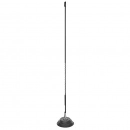ANTENA PRESIDENT NEW FLORIDA